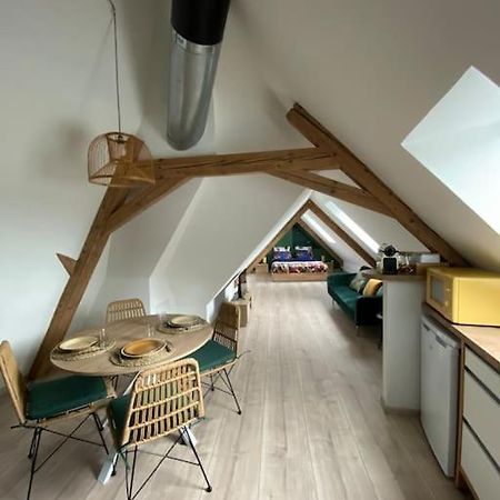 Les Toits D'Austerlitz Apartment Strasbourg Luaran gambar