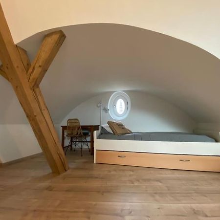 Les Toits D'Austerlitz Apartment Strasbourg Luaran gambar