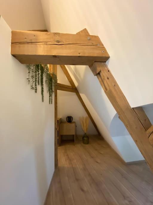 Les Toits D'Austerlitz Apartment Strasbourg Luaran gambar
